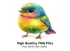 Cute Fluffy Bird Clipart Bundle