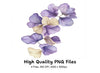 Purple Petals Clipart Bundle