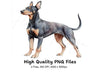 Elegant Doberman Dog Clipart Bundle