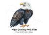 Majestic Bald Eagle Clipart Bundle