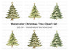 Christmas Trees Clipart Bundle