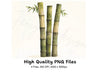 Lush Bamboo Forest Clipart Bundle