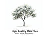 Monochrome Tree Clipart Bundle