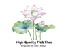 Elegant Lotus Flower Clipart Bundle