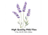 Lavender Clipart Bundle