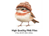 Cute Winter Birds with Knitted Hats Clipart Bundle