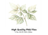 Green and White Leaves Clipart Bundle