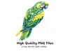 Vibrant Parrot Clipart Bundle