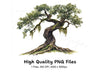 Ancient Oak Tree Clipart Bundle
