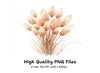 Pampas Grass Clipart Bundle