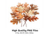 Autumn Leaves Clipart Bundle