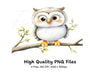 Cute Owl Clipart Bundle