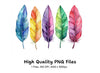 Vibrant Feather Clipart Bundle