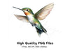 Hummingbird Clipart Bundle