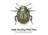 Ornate Patterned Beetle Clipart Bundle