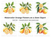 Citrus Fruit Clipart Bundle