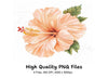Exquisite Hibiscus Clipart Bundle