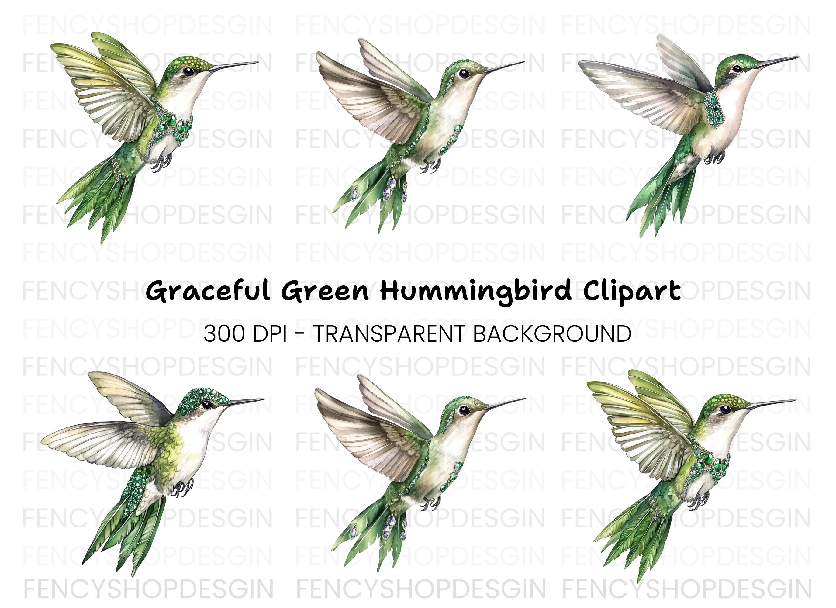 Emerald Hummingbird Clipart Bundle