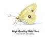 Pale Yellow Butterfly Clipart Bundle