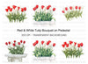 Vibrant Red and White Tulip Clipart Bundle