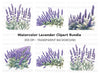 Beautiful Lavender Clipart Bundle