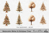 Winter Christmas Trees Clipart Bundle