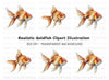 Golden Fish Clipart Bundle