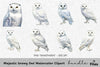 Majestic Snowy Owl Clipart Bundle