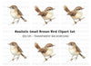 Small Brown Bird Perched Clipart Bundle