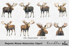 Majestic Moose Clipart Bundle