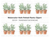 Herb Plants in Terracotta Pots Clipart Bundle