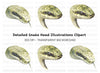 Detailed Snake Head Clipart Bundle