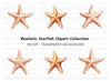 Starfish Clipart Bundle