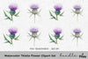 Thistle Flower Clipart Bundle