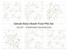 Delicate Baby Breath Clipart Bundle