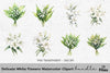 Delicate White Flowers Clipart Bundle