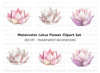 Lotus Flower Clipart Bundle