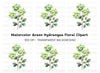 Green Hydrangea Clipart Bundle