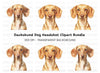 Cute Dachshund Dog Clipart Bundle