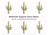 Saguaro Cactus Clipart Bundle