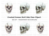 Cracked Skull Side View Clipart Bundle