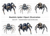 Realistic Spider Clipart Bundle