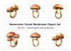 Mushroom Clipart Bundle