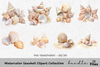 Seashell Clipart Bundle