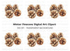 Pine Cones Clipart Bundle