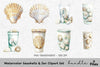 Seashells Jar Clipart Bundle