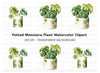 Monstera Plant Clipart Bundle