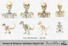 Human Dinosaur Skeleton Clipart Bundle