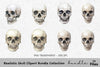 Realistic Skull Clipart Bundle