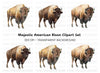 Majestic Bison Clipart Bundle